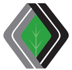 Diamond Achievement logo_